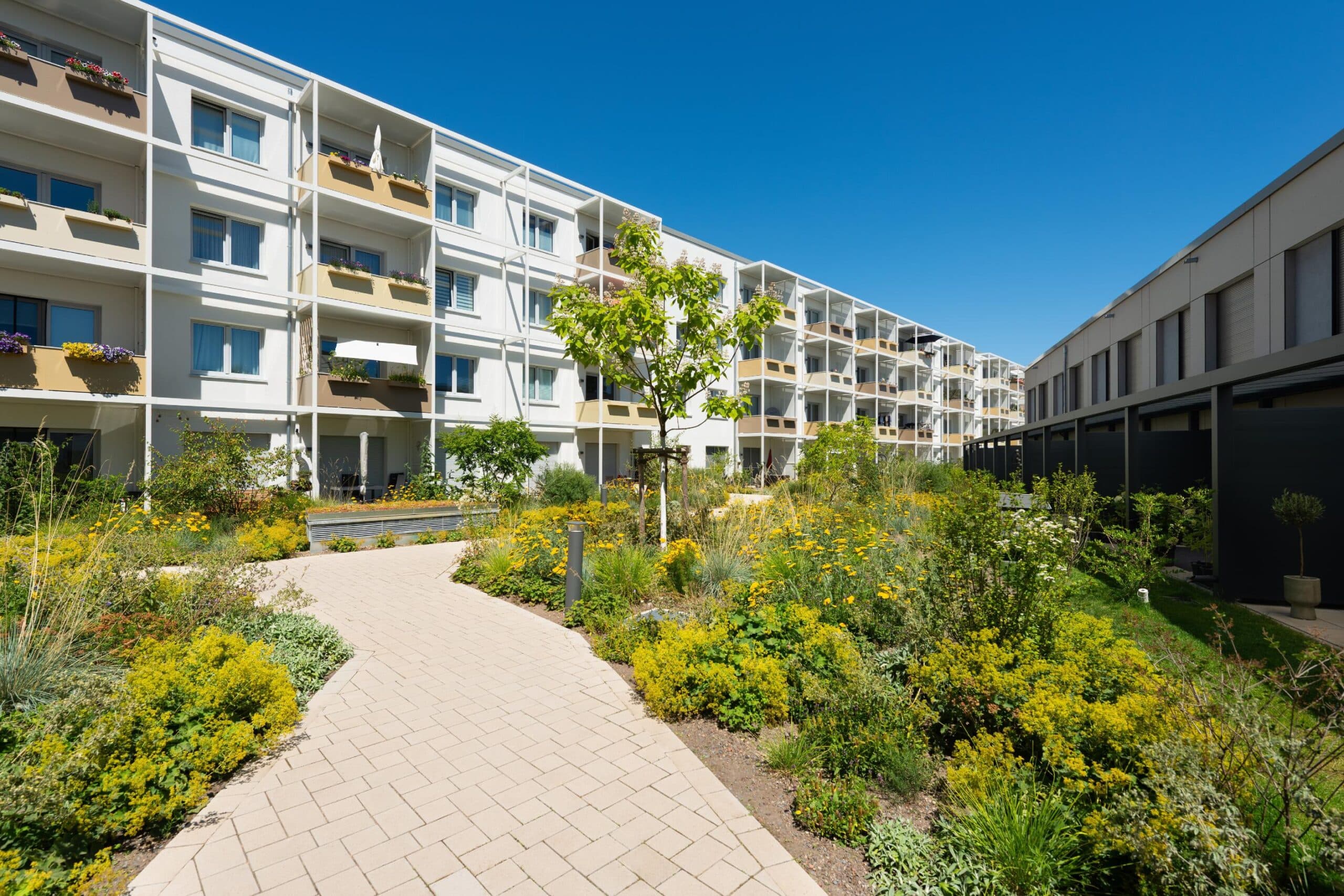 Standhalten, anpassen und lernen