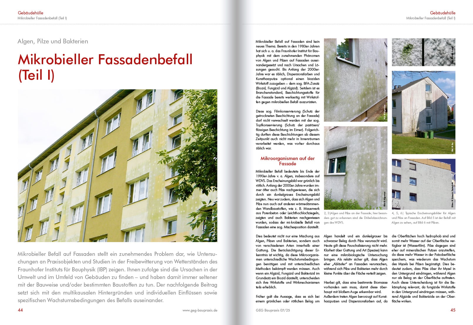 mikrobieller-fassadenbefall-01 mikrobieller-fassadenbefall-01