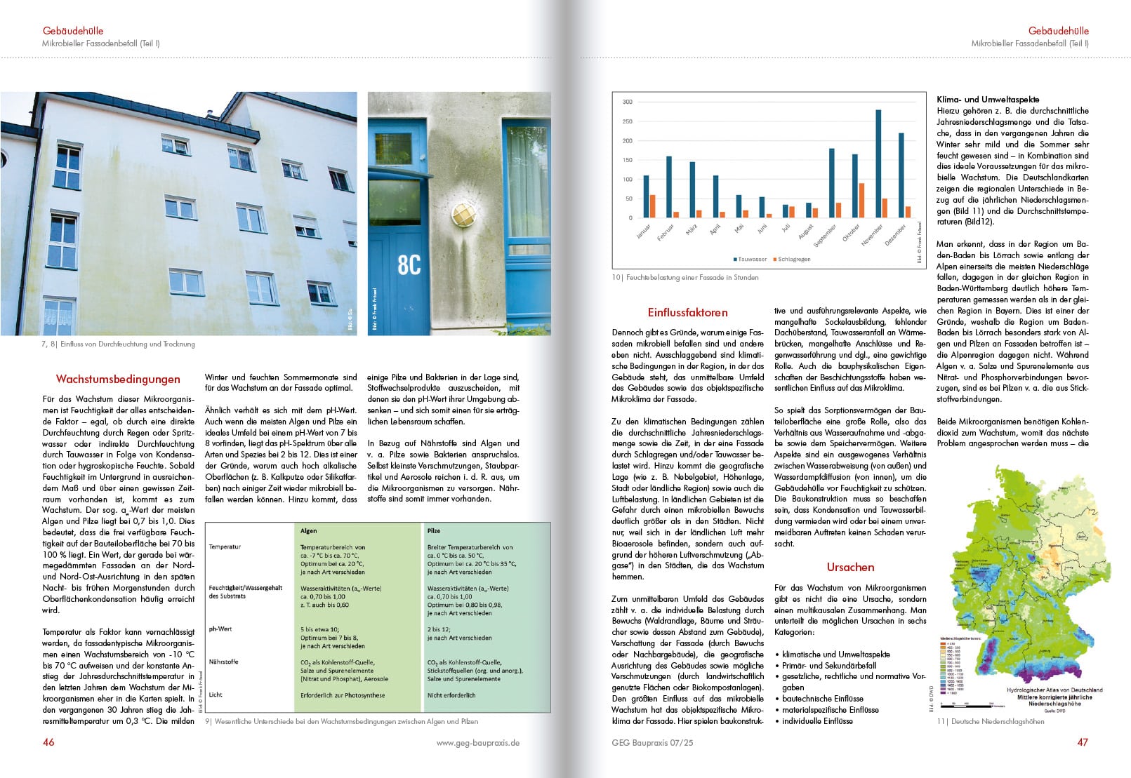mikrobieller-fassadenbefall-02 mikrobieller-fassadenbefall-02