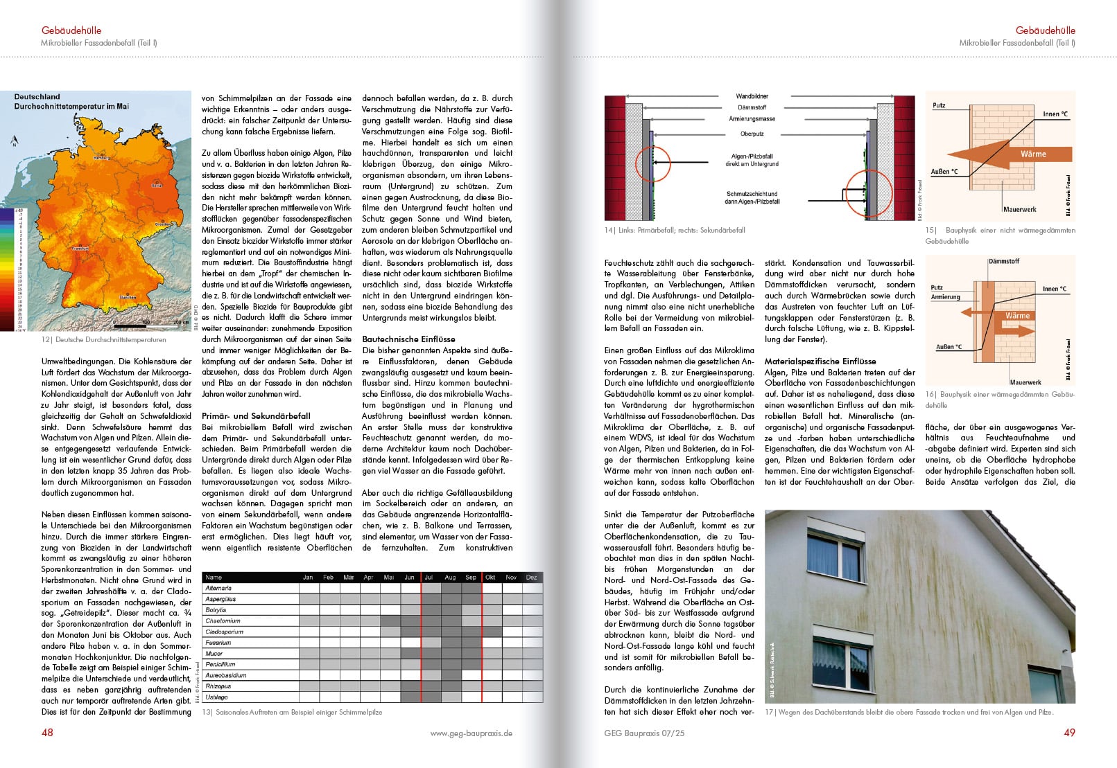 mikrobieller-fassadenbefall-03 mikrobieller-fassadenbefall-03