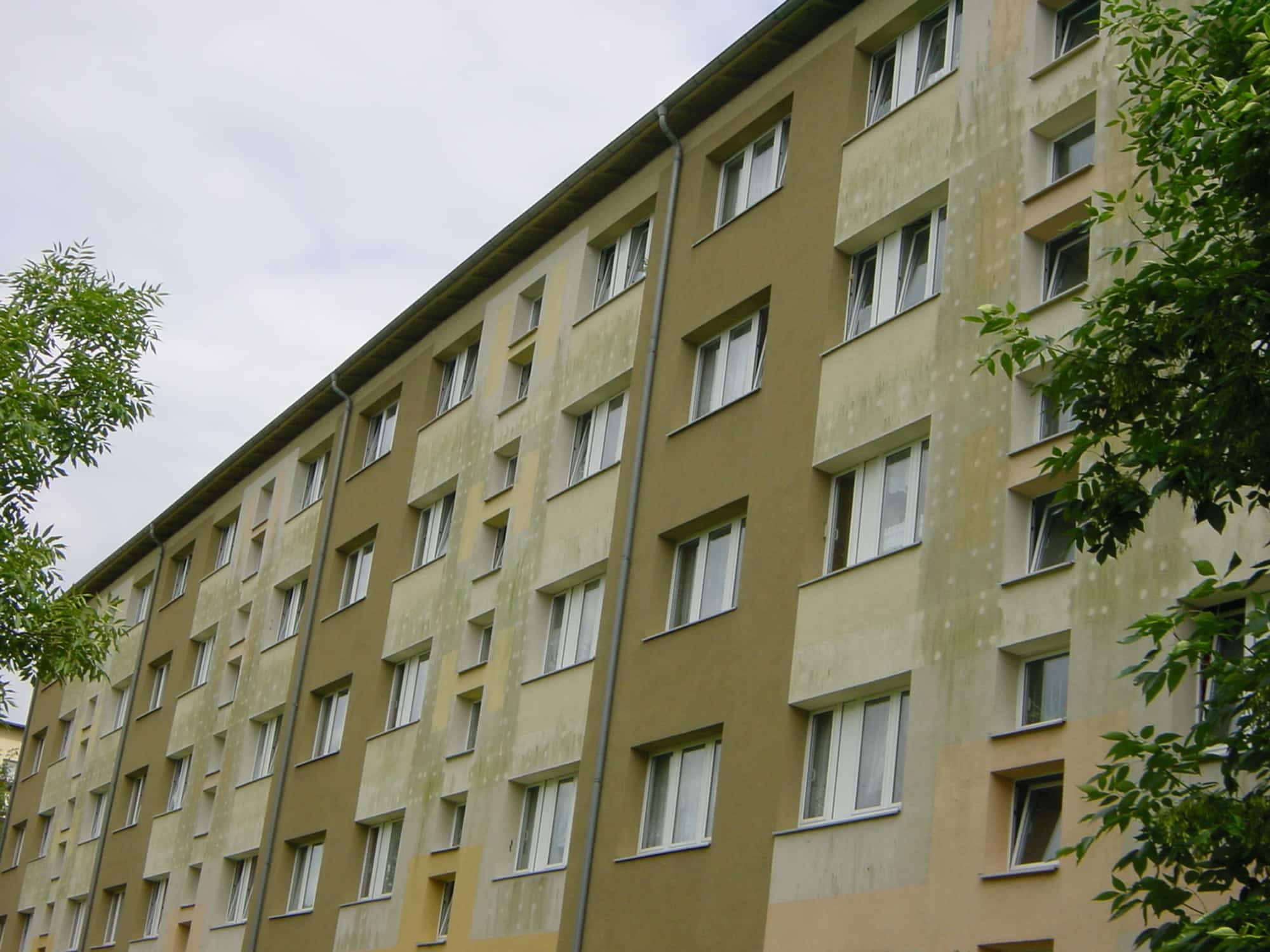 Mikrobieller Fassadenbefall (Teil I)